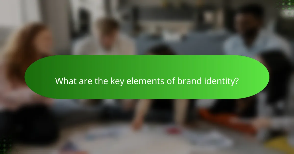 What are the key elements of brand identity?