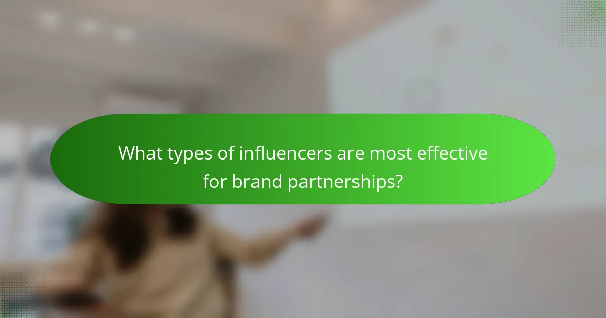 What types of influencers are most effective for brand partnerships?